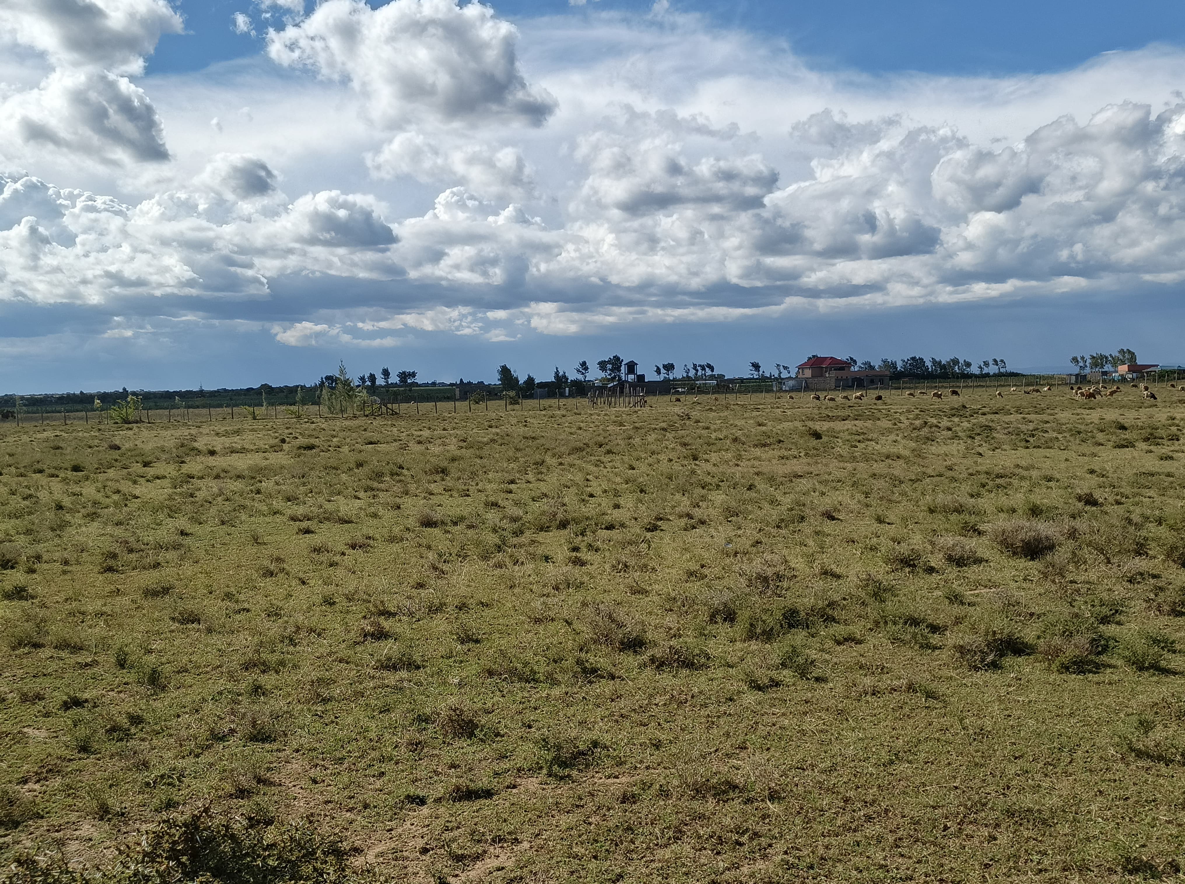 Narok Airstrip land thumbnail 2